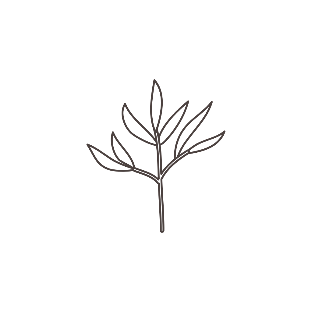 Exotic Plants